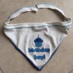 Dog Bandana- Birthday Boy Size Large