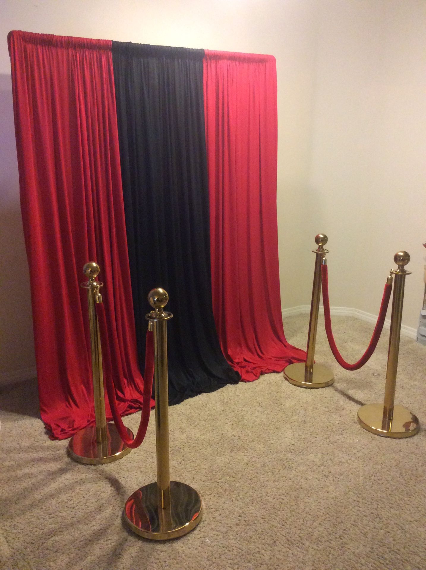 BACKDROP & STANCHIONS...FOR...R..E..N..T...ONLY