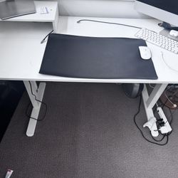 Electric Standing Desk 55*24
