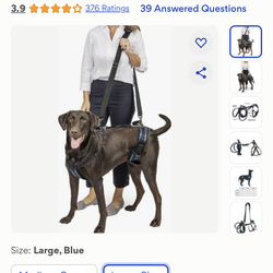 PetSafe CareLift Handicapped Support Dog Harness, Large