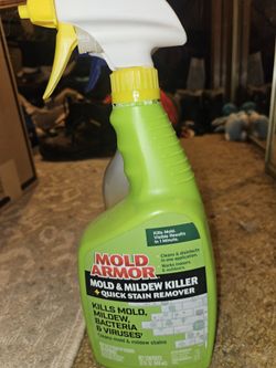 Mold Removal