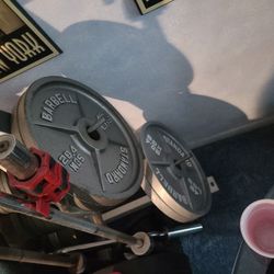 Olympic Weight Plates 