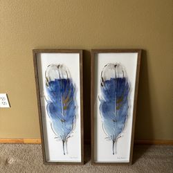 Framed feather art