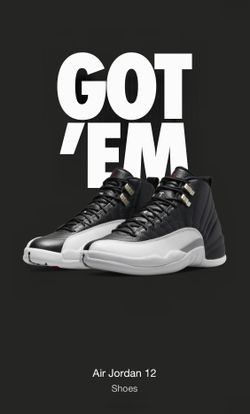 Air Jordan Retro 12 Playoffs