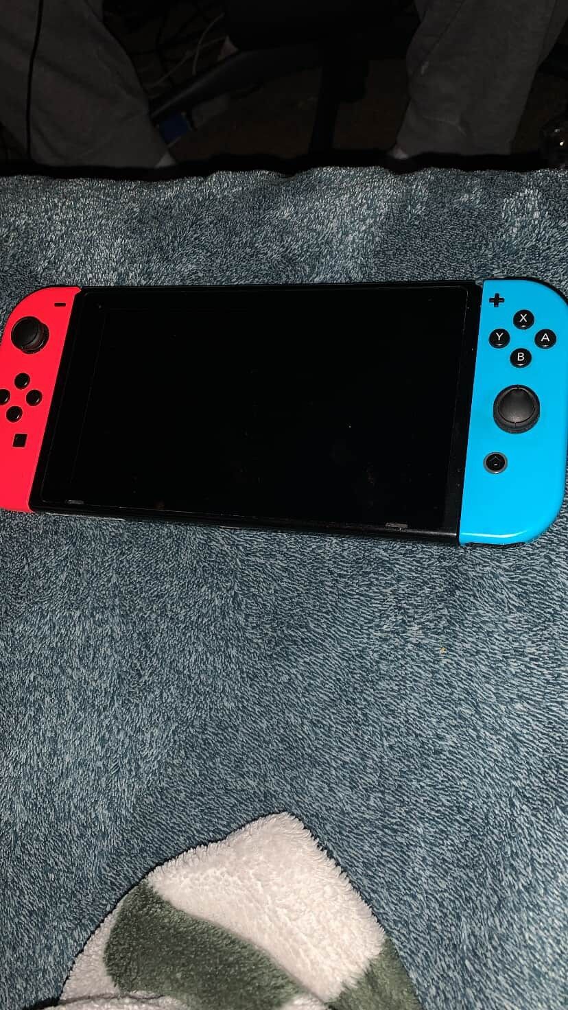 The nintendo switch