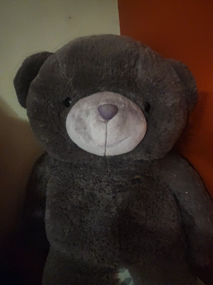 Teddy Bear 5 Feet Tall $15