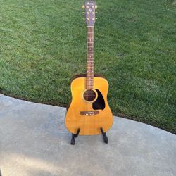 Acoustic Ibanez
