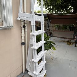Pool Ladder.