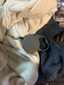Retractable Leash