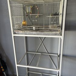One Canary Cage