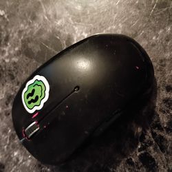 Computer Mouse 