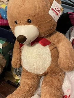 Teddy Bear New