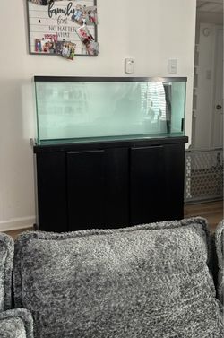 55 Gallon Fish Tank Complete Setup