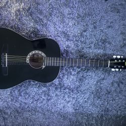 Rogue Fine instruments Guitar 
