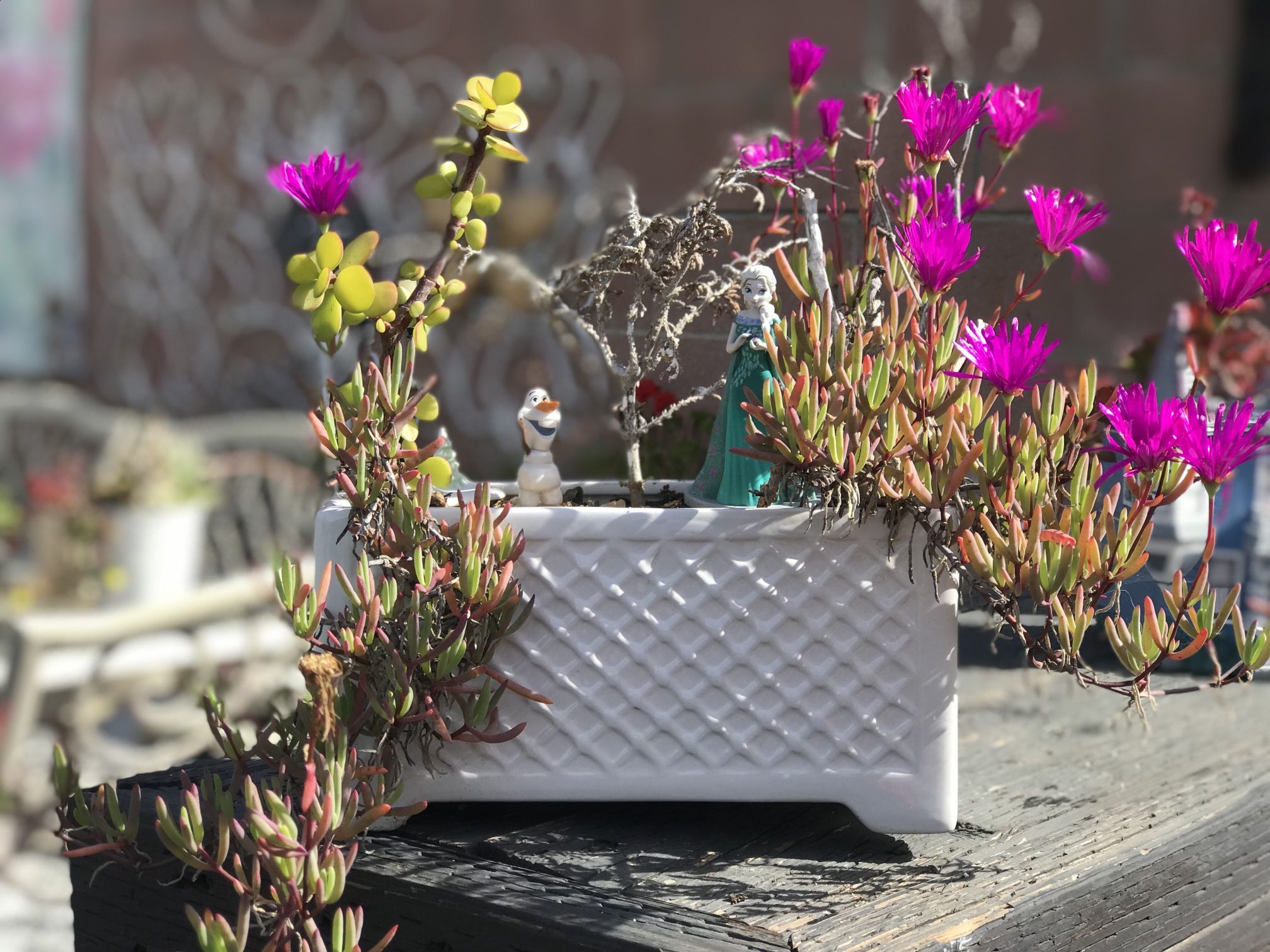 $12 Queen Elsa Frozen inspired fairy garden