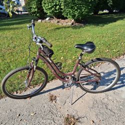 Trek Navigator Women Bike 