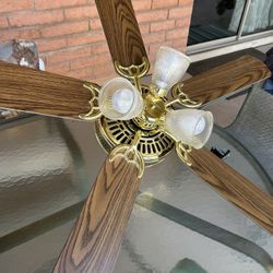 Light Fans And Dinning Lights $25 Each