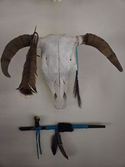 Authentic steer skull decor
