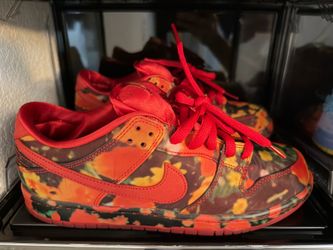 Nike sb wizard of oz