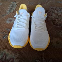 Reebok FloatZig 1 Chalk Golden Haze