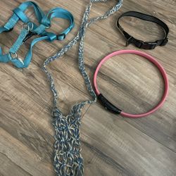 Carhartt Dog Collar, Harness, Bag Carrier