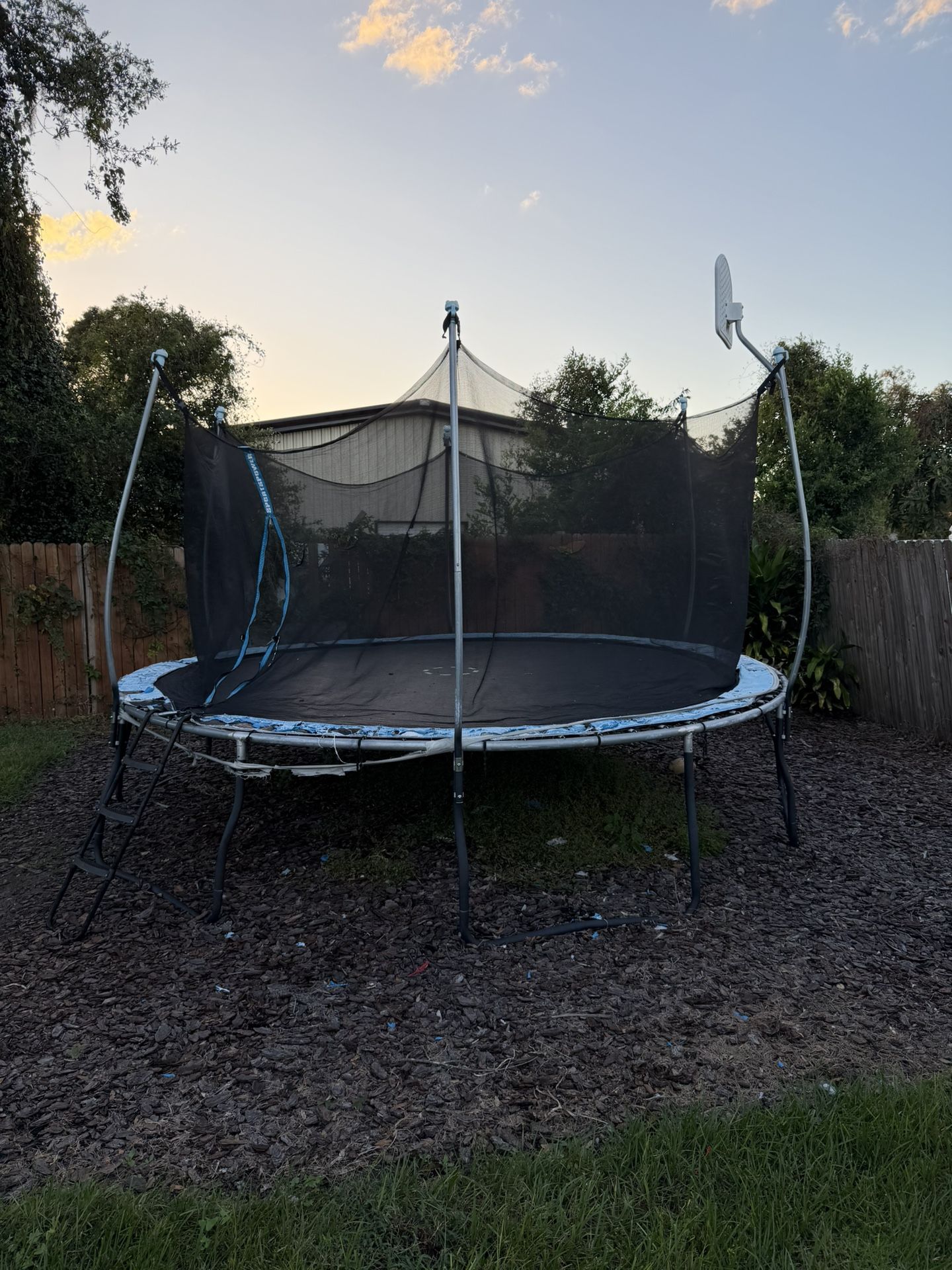 Trampoline Large 