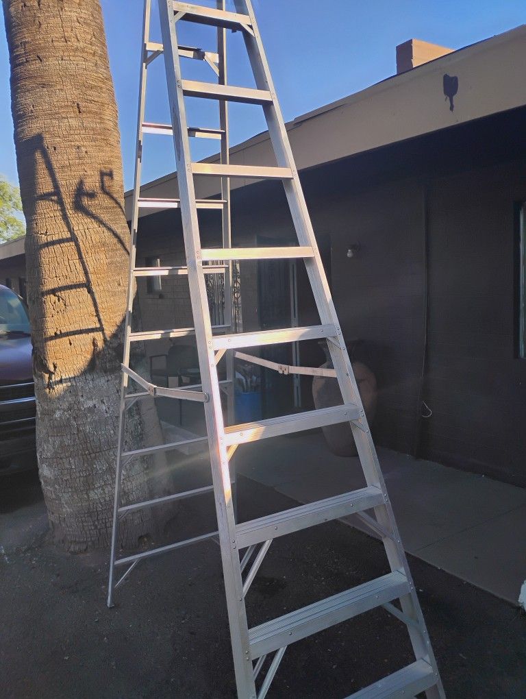 Werner 10ft Aluminum Ladder $130