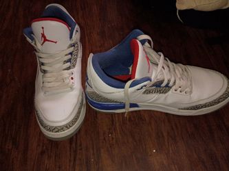 Air Jordan 3s size 12