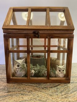 Mini Green House