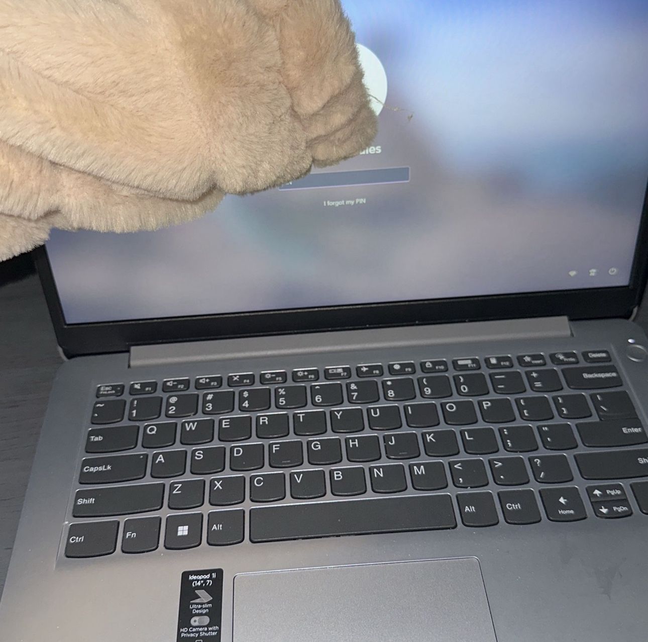 Laptop With Charger