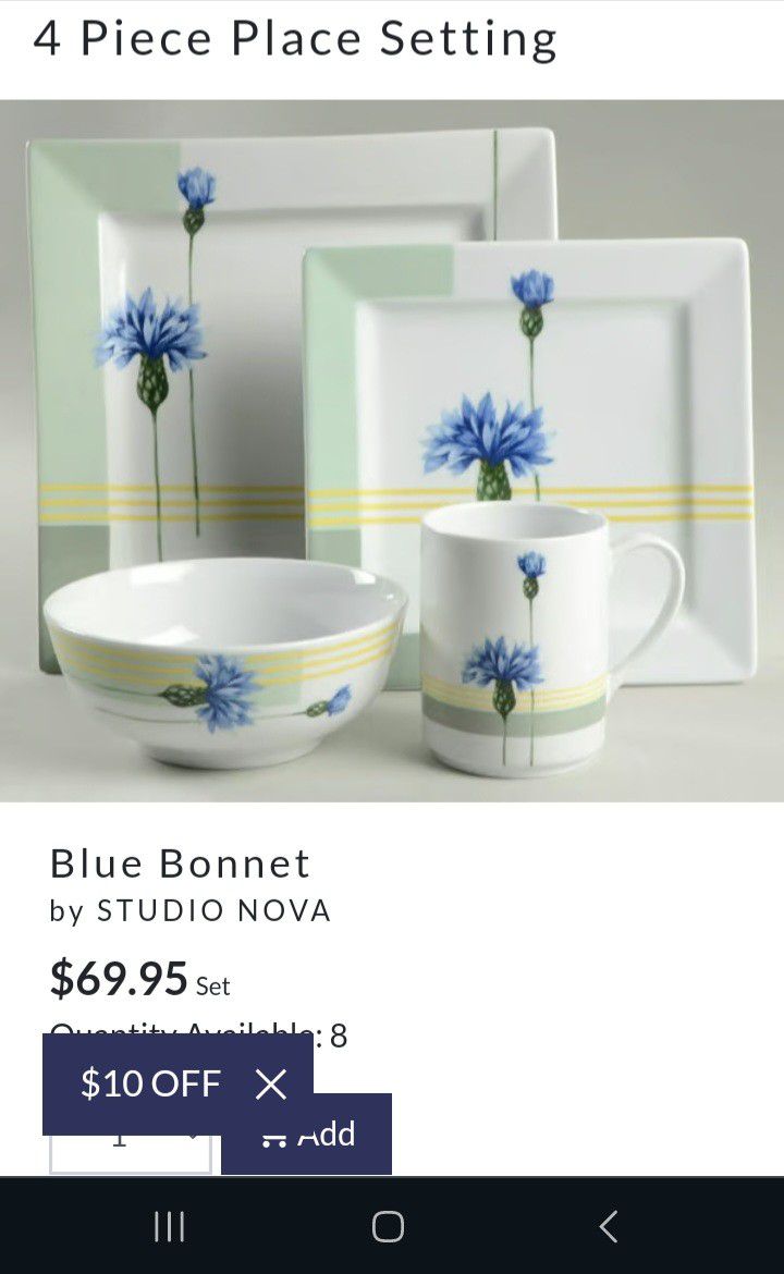 Stella Nova Blue Bonnet Fine Porcelain China 21 Pieces
