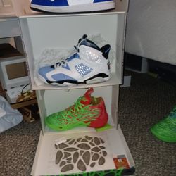 Air JORDAN UNC 6s