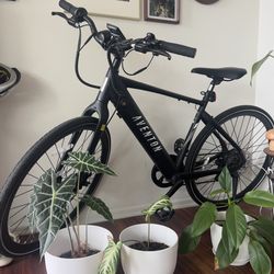 Aventon Soltera 2.5 Ebike 