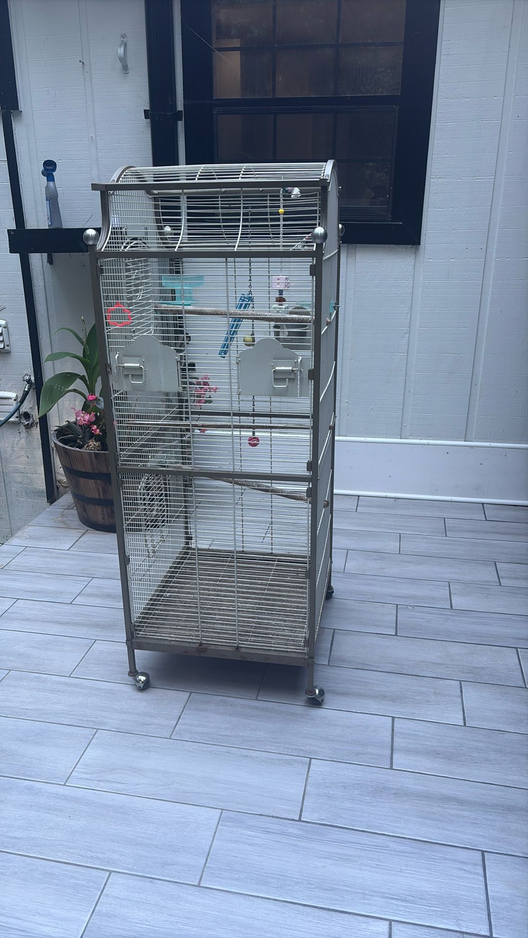 Bird Cage