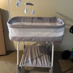 Grey And White Bassinet 