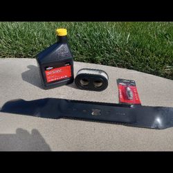 Mower Tune Up Briggs & Stratton
