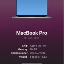 M1 Pro Chip 16 GB Ram 1TB 