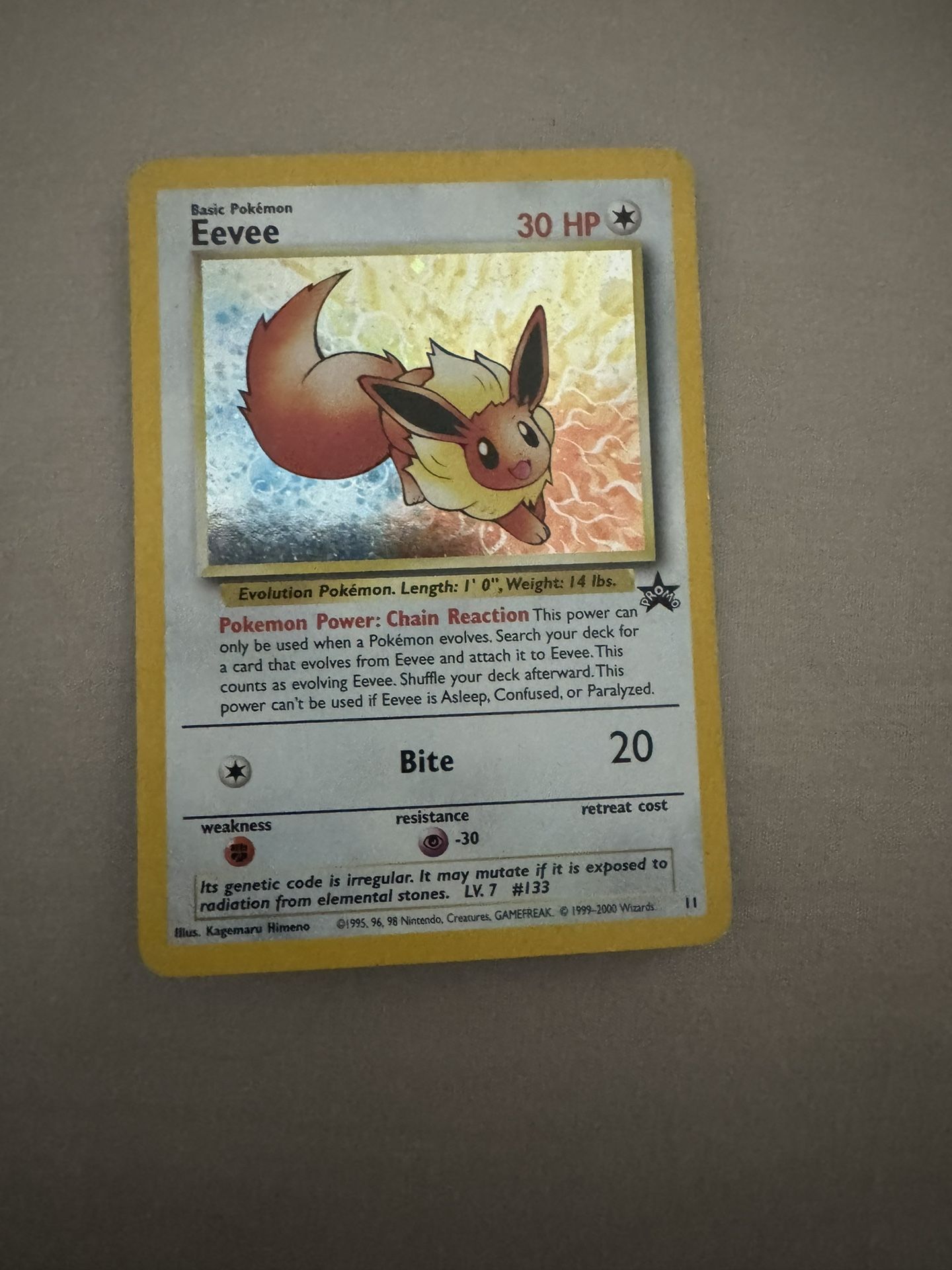 Eevee 11