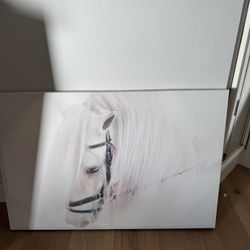 Canvas Painting