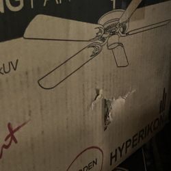 Ceiling Fan