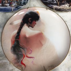 Beautiful,  Large Collector Plates  