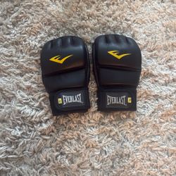 Mma training gloves