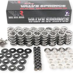 Btr Valve Spring Kit For Ls 