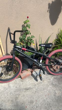 Two bikes, mangoes, and dread