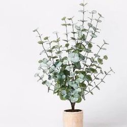 Large Artificial Eucalyptus Plant in Pot - Threshold designed with Studio