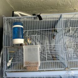 Bird Cage for Finch Gouldians