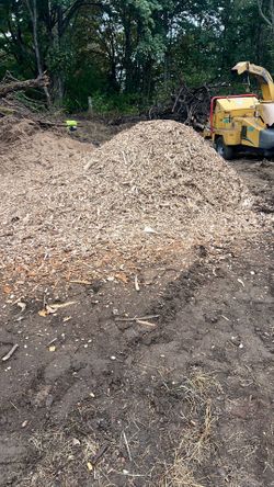Wood chips