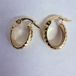 14K Gold Oval Hoop Earrings 