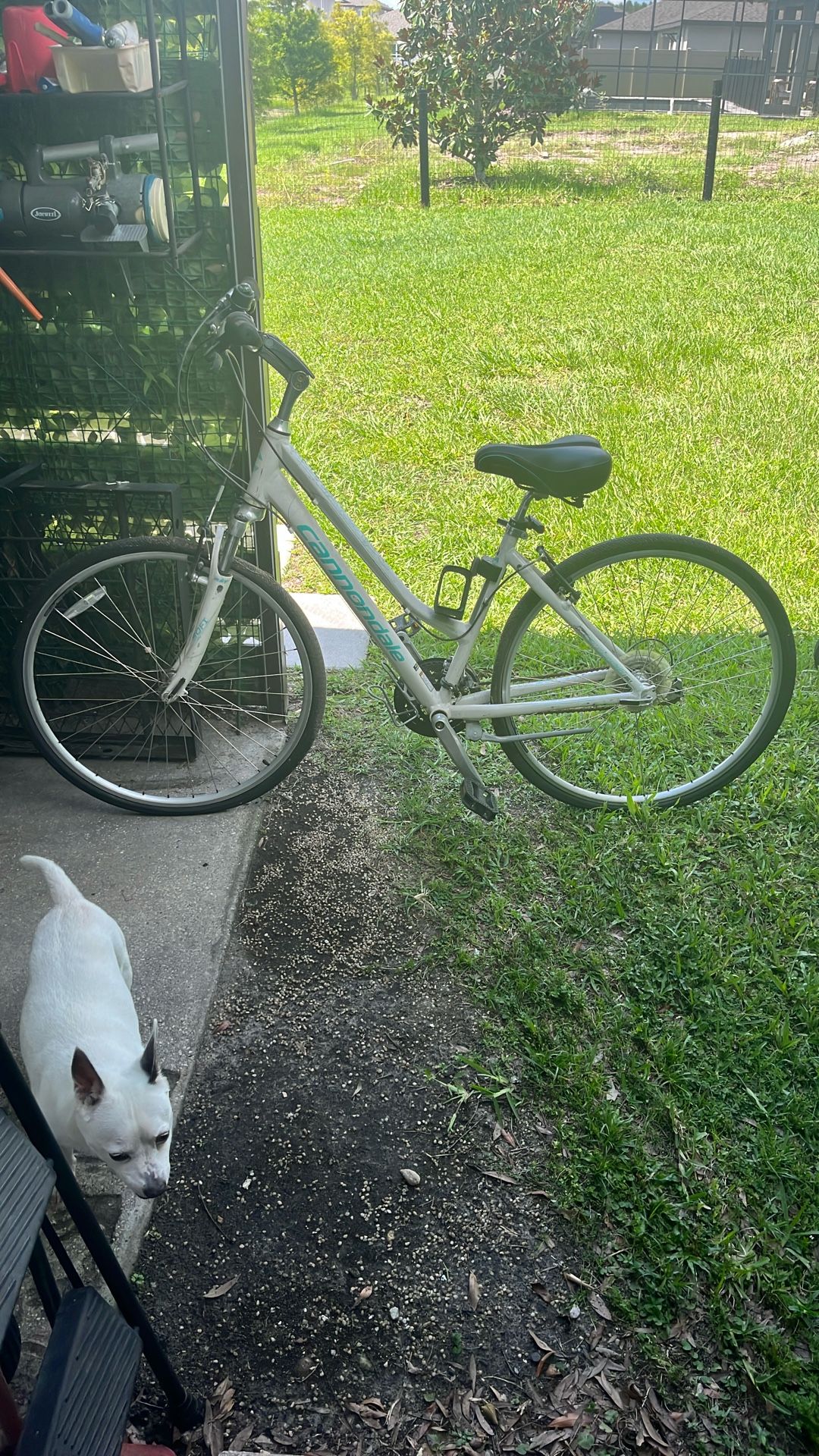 Cannondale Aluminum Women’s-bike