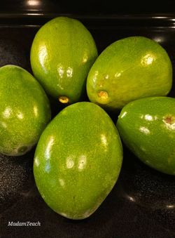 Avocado Trees Florida variety. See Description